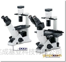 荧光倒置显微镜CKX41-32FL |荧光倒置显微镜CKX41-32FL价格参数